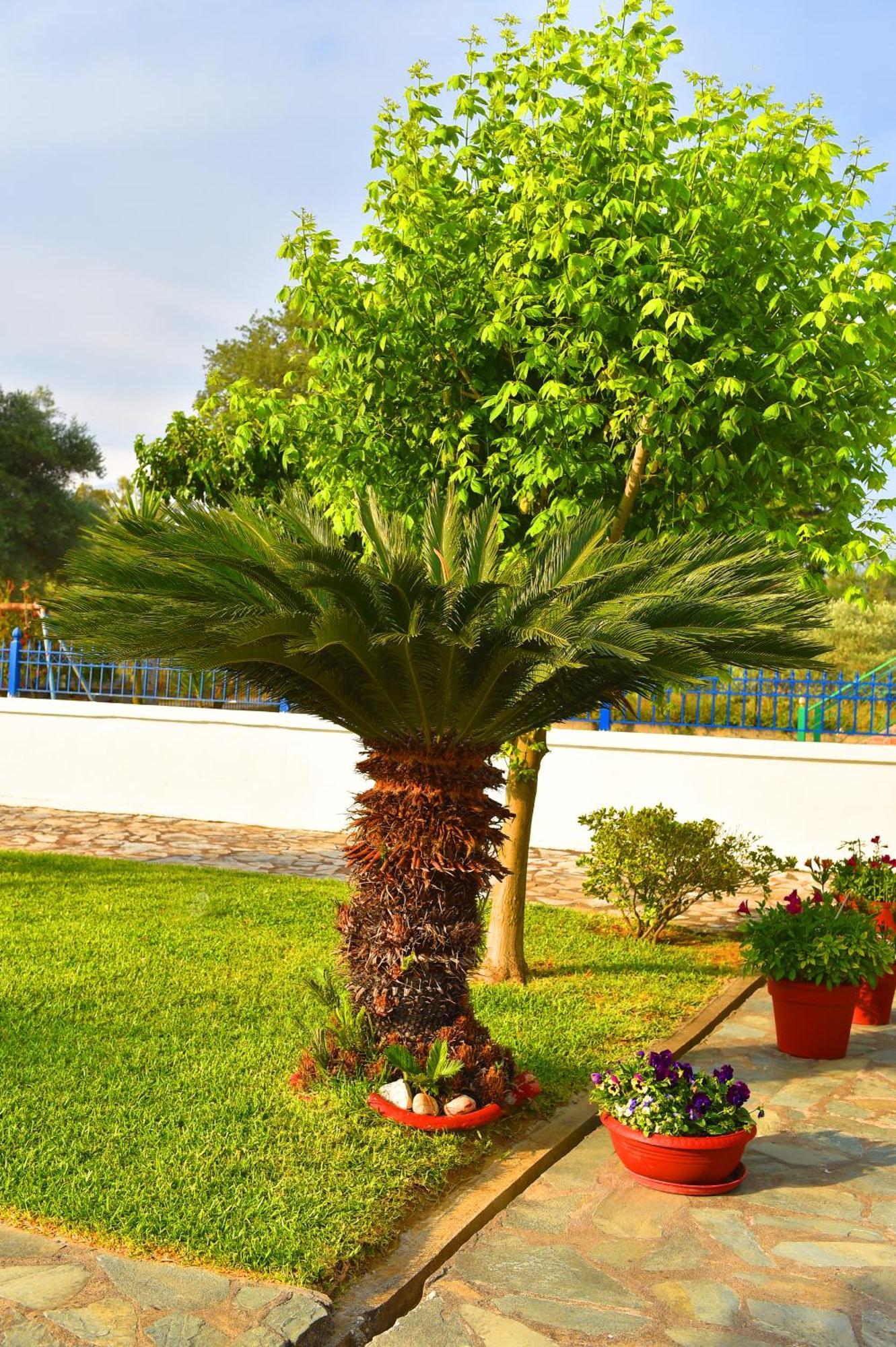 Villa Elpida カナリ エクステリア 写真
