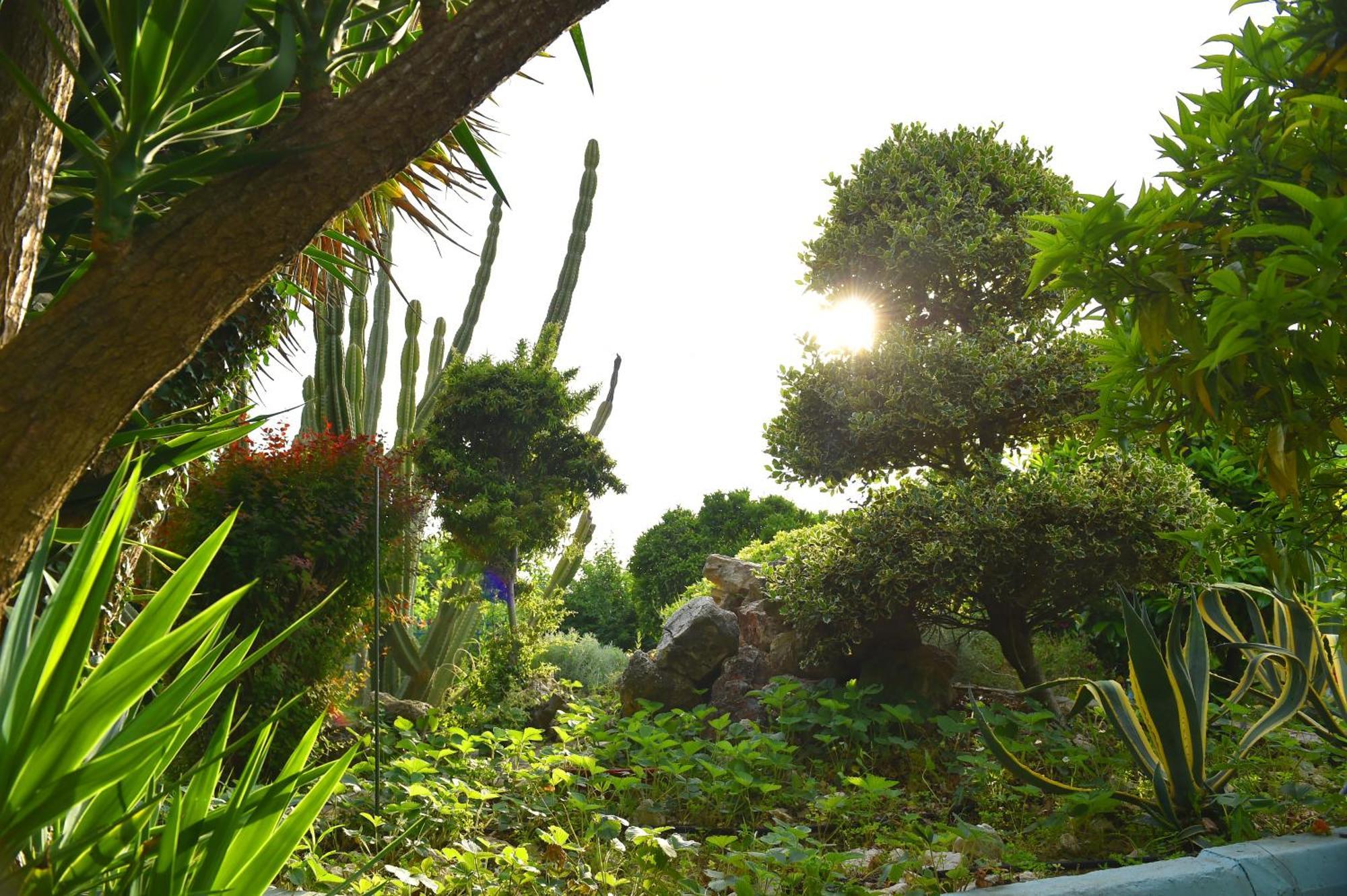 Villa Elpida カナリ エクステリア 写真